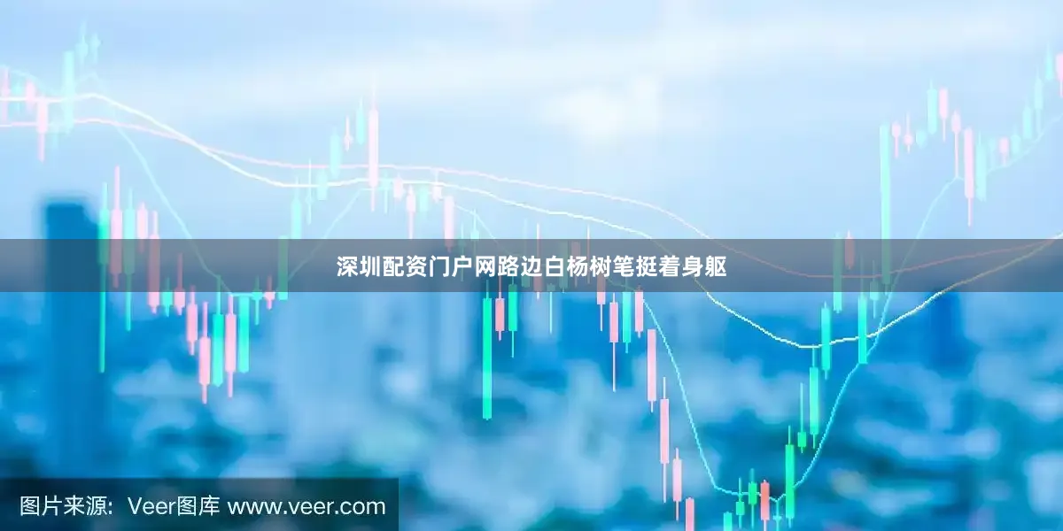 深圳配资门户网路边白杨树笔挺着身躯