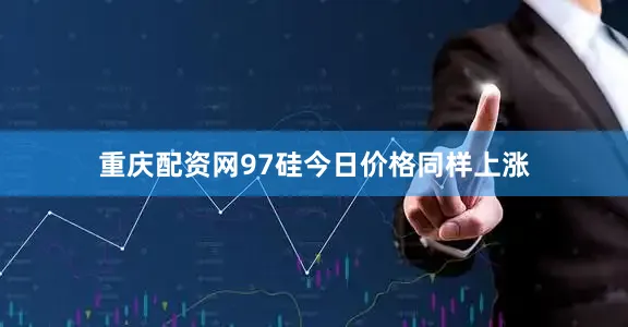 重庆配资网97硅今日价格同样上涨