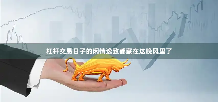 杠杆交易日子的闲情逸致都藏在这晚风里了